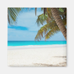 Tropical Paradise Beach Magnet
