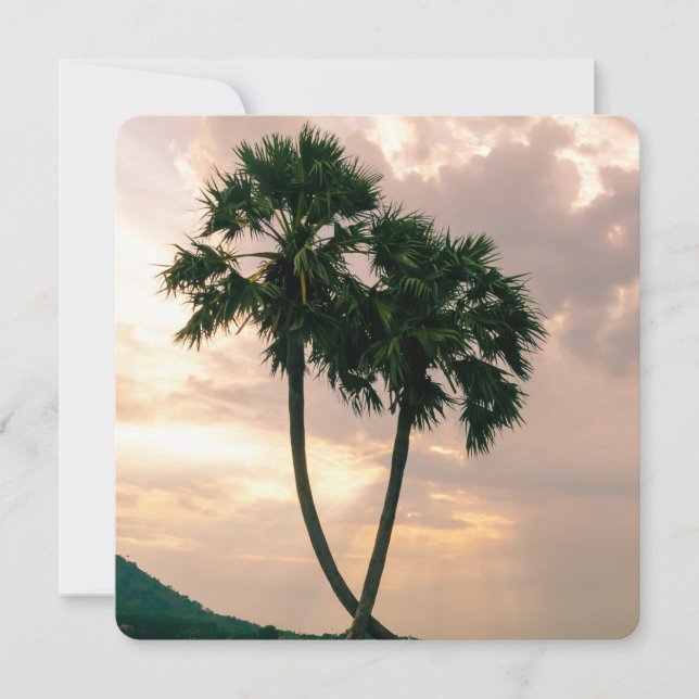 Tropical Paradise Beach Palm Destiny Destiny's (Vorderseite)