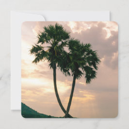 Tropical Paradise Beach Palm Destiny Destiny's