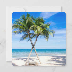 Tropical Paradise Beach Palm Destiny Destiny's