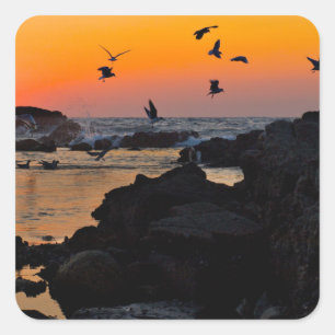 Tropical Paradise Water Beach Sunset Palm Destinat Quadratischer Aufkleber