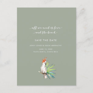 Tropical Parrot Beach Hochzeit Save the Date Ankündigungspostkarte