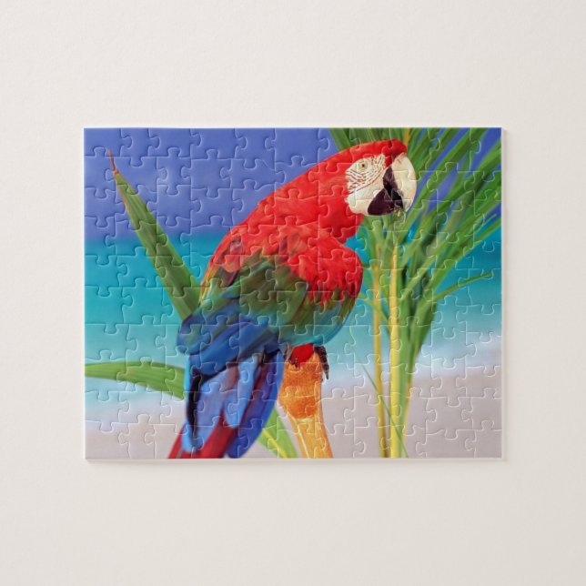 Tropical Parrot Game Puzzle (Horizontal)