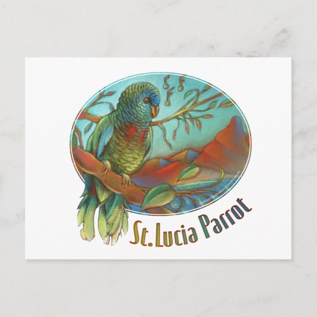 Tropical Parrot of St. Lucia Postkarte (Vorderseite)