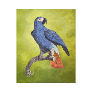Tropical Parrot Vintag Illustration Leinwanddruck