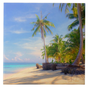 Tropical Philippines Island Beach Palm Paradis Fliese