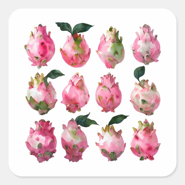 Tropical Pitaya Watercolor Art Quadratischer Aufkleber (Vorderseite)