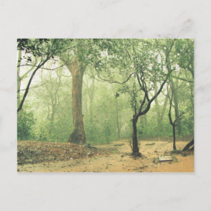 Tropical Rainforest Western Ghats Indien Postkarte