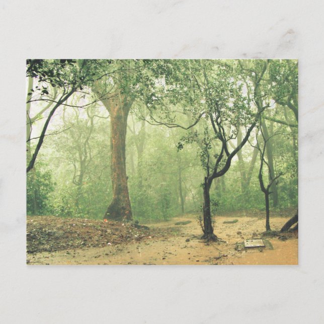 Tropical Rainforest Western Ghats Indien Postkarte (Vorderseite)