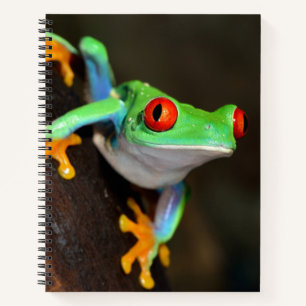 Tropical Red Eye Frog - Agalychnis Callidryas Notizbuch