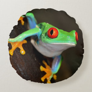 Tropical Red Eye Frog - Agalychnis Callidryas Rundes Kissen