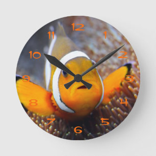 Tropical reef fish - Clownfish Runde Wanduhr