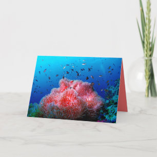 Tropical Sea Life Pink Glowing Anemone Coral Karte