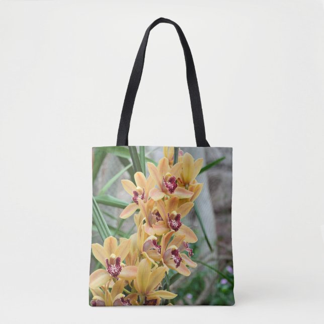 Tropical Star Orchids (Vorderseite)