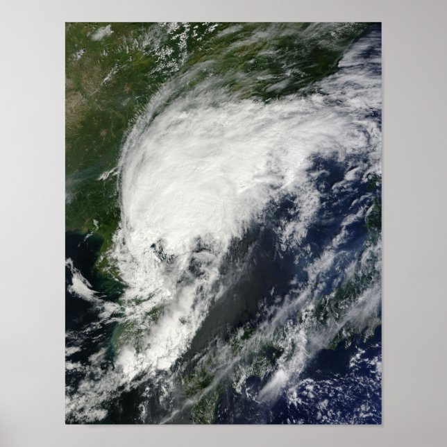 Tropical Storm Kompasu Poster (Vorne)