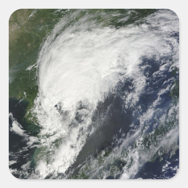 Tropical Storm Kompasu Quadratischer Aufkleber (Vorderseite)
