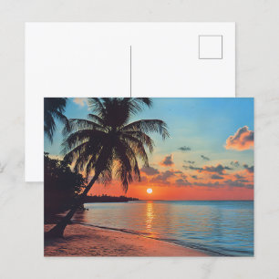 Tropical Sunset Beach Szene Postkarte