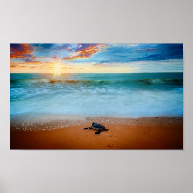 Tropical Sunset Sea Turtle Sandstrand Poster (Vorne)