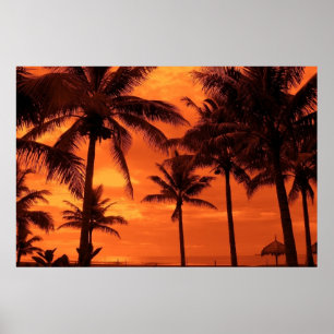Tropical Sunset Summer Design Palmen Landschaft Poster