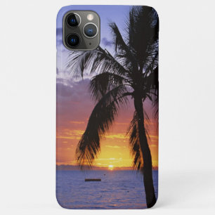Tropical Sunset with Palm Tree Case-Mate iPhone Hülle