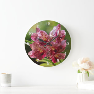 Tropical Vanda Orchid Cluster Große Wanduhr
