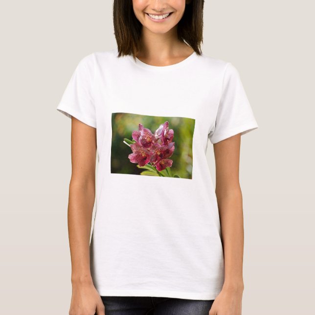 Tropical Vanda Orchid Cluster T-Shirt (Vorderseite)