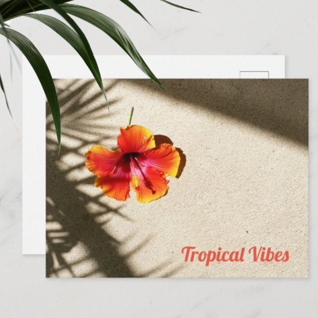 Tropical Vibes Hibiskus Postkarte (Von Creator hochgeladen)