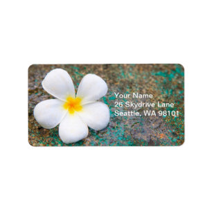 Tropical White Plumeria Blume Adressaufkleber
