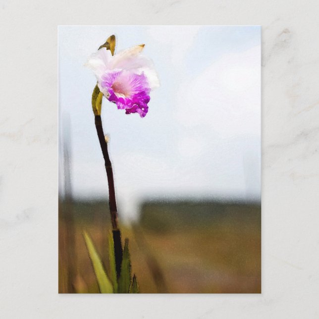 Tropical Wild Orchid Print Hawaii Postkarte (Vorderseite)