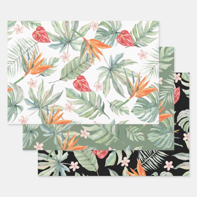 Tropics Blume Foliage Fantasy mit Monogram Geschenkpapier Set (Set)
