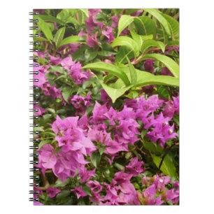 Tropila violette Bougainvillea-Blüten Notizblock