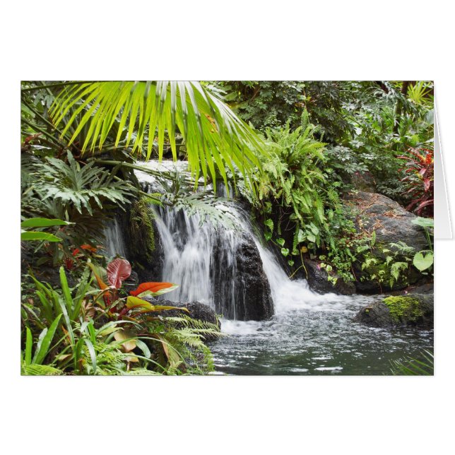 tropisch (Vorderseite (Horizontal))