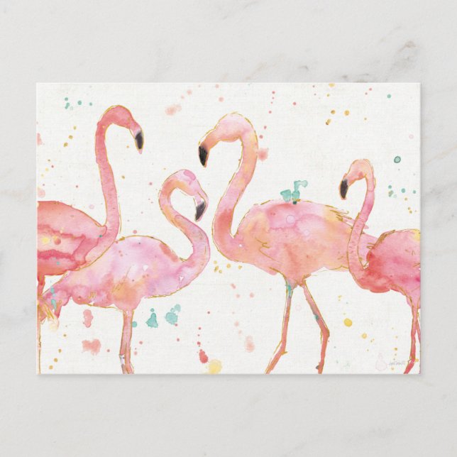 tropisch | Ansammlung Flamingos Postkarte (Vorderseite)