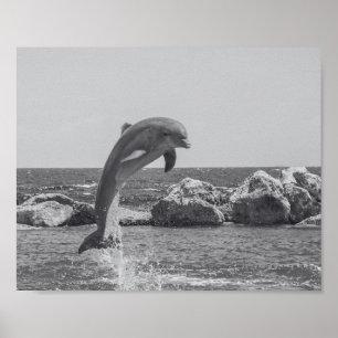 Tropisch-druckbare Schwarz-Weiß-Dolphin-Kunst Poster