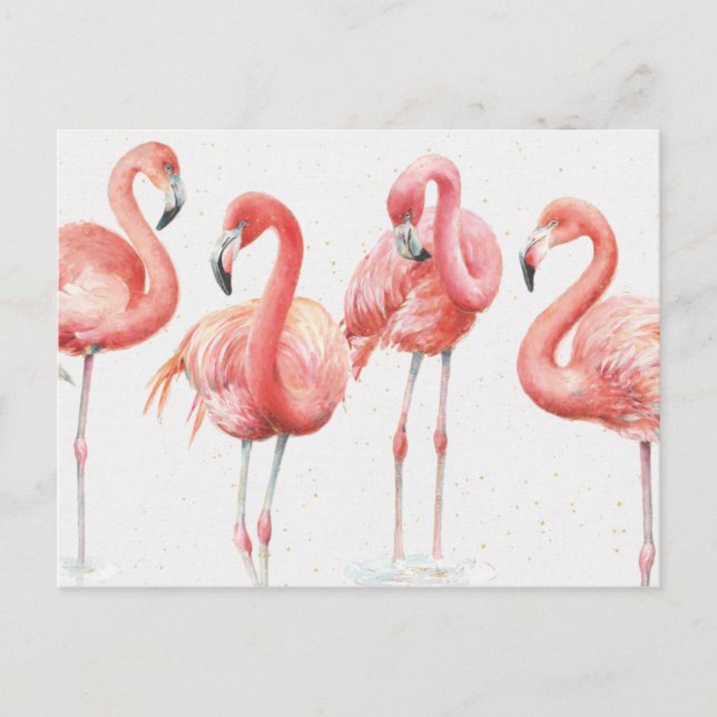tropisch | Familie Flamingos Postkarte (Vorderseite)