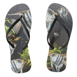 Tropisch gestreifte Fische Flip Flops