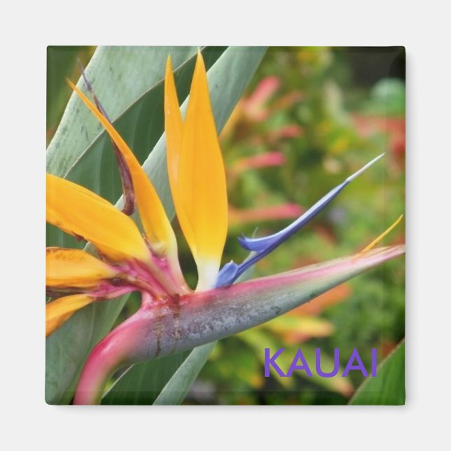 Tropisch-hawaiianische Blume Bird-of-Paradise Kaua Magnet (Vorne)