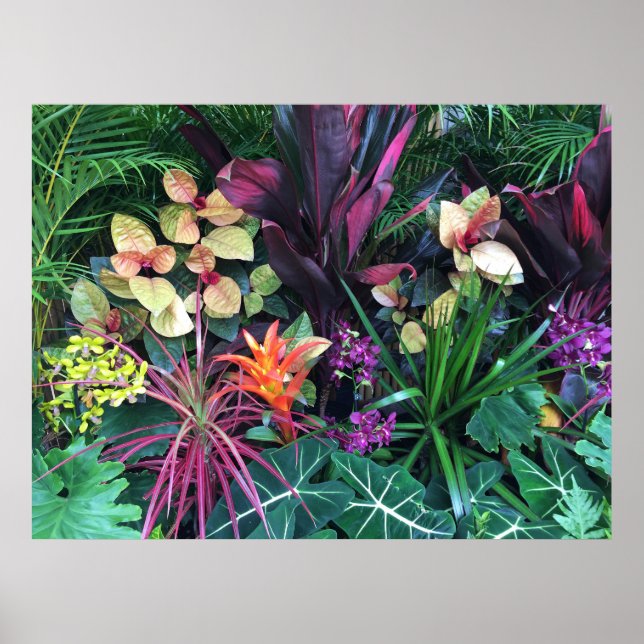 Tropisch-Hawaiianische Flora Poster (Vorne)