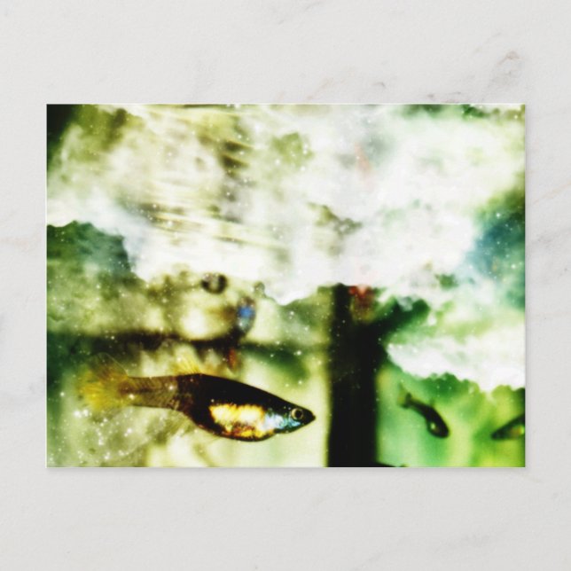 tropisch postkarte (Vorderseite)