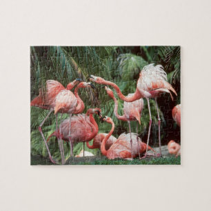 Tropisch rosa Flamingos Familie Ruhe Spaß Puzzle