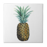 Tropische Ananas Fliese<br><div class="desc">Tropische Ananas Wasserfarbe. Künstler: Grace Popp. Bild-ID: 105687D.</div>