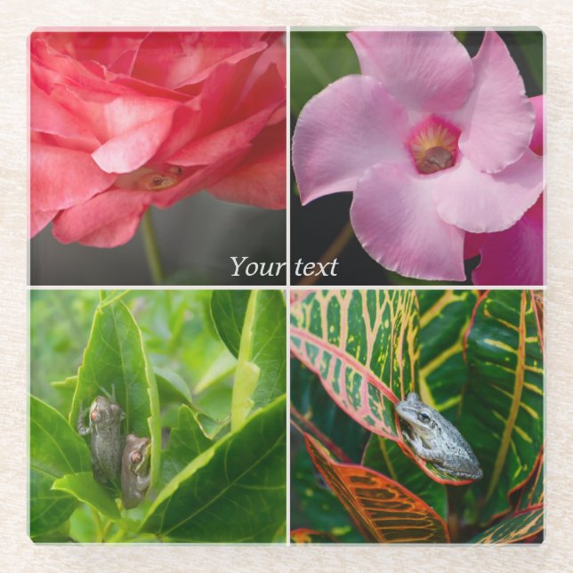 Tropische Baumfrosche in Blume und Blätter Glasuntersetzer (Vorderseite)