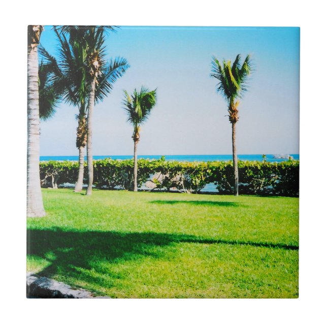 Tropische Baumkronen Fliese (Vorderseite)