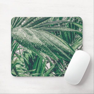 Tropische Blätter mit Regentropfen Mousepad