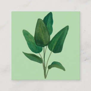 Tropische Blätter Quadratische Visitenkarte