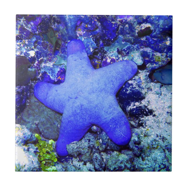Tropische blaue Starfish, die auf unterseeischer Fliese (Vorderseite)