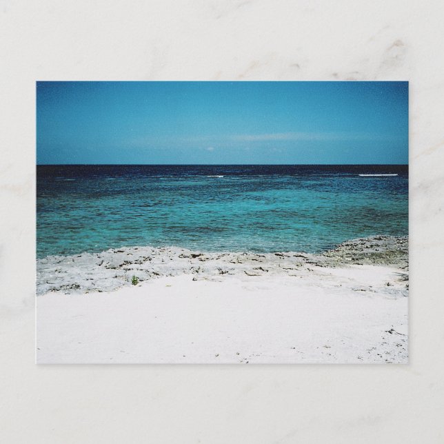 Tropische Blisterkarte Postkarte (Vorderseite)