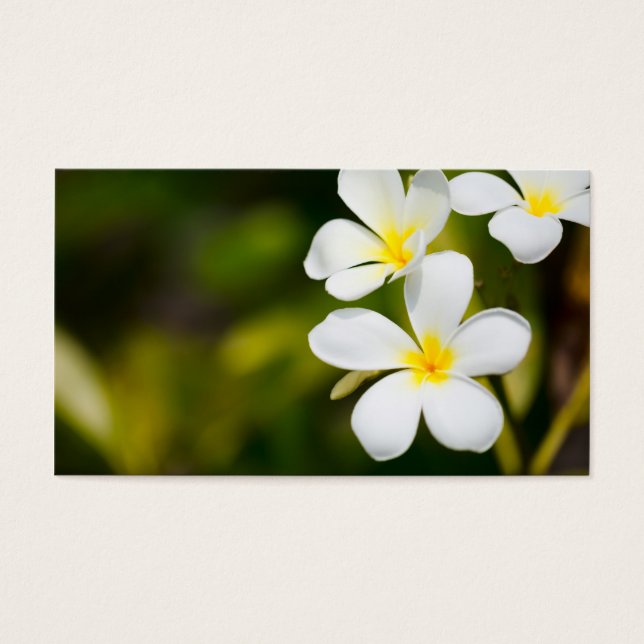 Tropische Blume (Vorderseite)