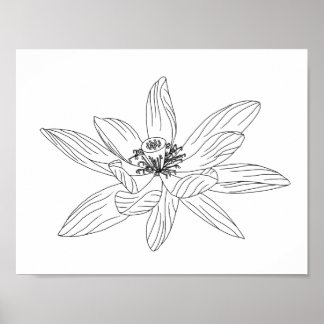 Tropische Blume Erwachsenenfarbkarton Poster