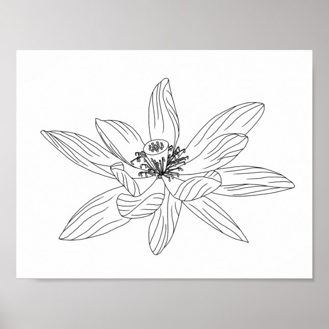 Tropische Blume Erwachsenenfarbkarton Poster (Vorne)